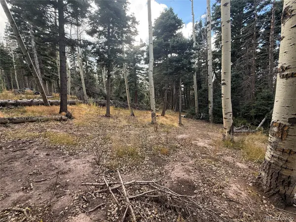 2662 Petito DR, Fort Garland, CO 81133