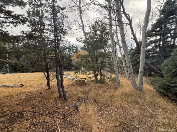 2662 Petito DR, Fort Garland, CO 81133