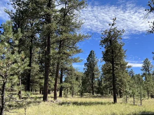 82 Kiowa CIR, Westcliffe, CO 81252