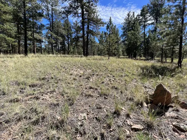82 Kiowa CIR, Westcliffe, CO 81252