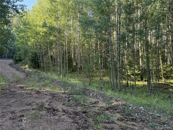 Lot 5331 Hull RD, Fort Garland, CO 81133