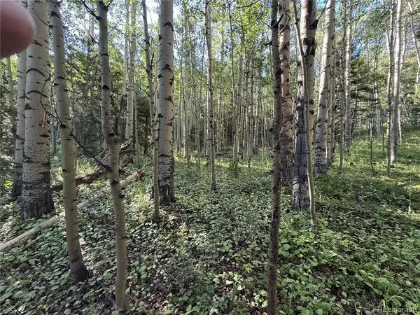 Lot 5331 Hull RD, Fort Garland, CO 81133