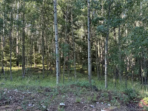 Lot 5331 Hull RD, Fort Garland, CO 81133