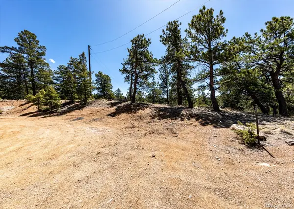 110 La Abu TRL, Florissant, CO 80816