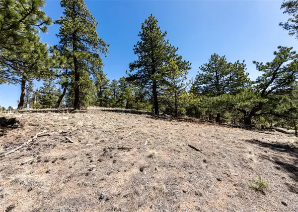 110 La Abu TRL, Florissant, CO 80816