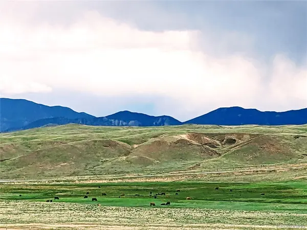 2667 Cahokia RD, Hartsel, CO 80449