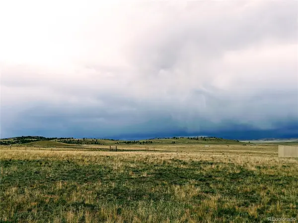 2667 Cahokia RD, Hartsel, CO 80449