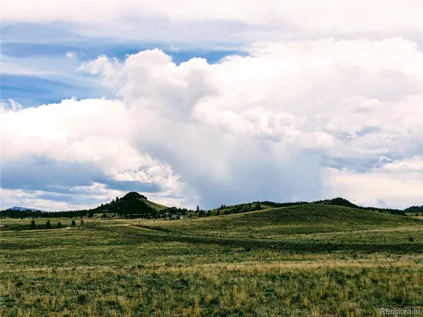 2667 Cahokia RD, Hartsel, CO 80449
