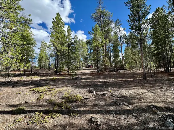 143 Fir DR, Leadville, CO 80461