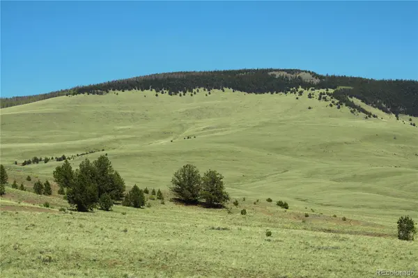 State HWY, Guffey, CO 80820