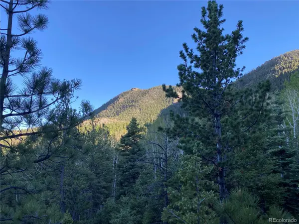 285 Forest RD, Manitou Springs, CO 80829