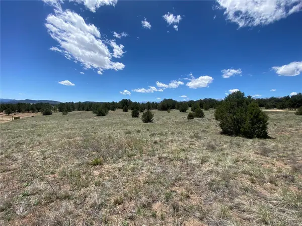 1638 20th TRL, Cotopaxi, CO 81223