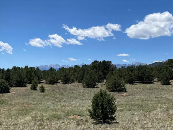 1638 20th TRL, Cotopaxi, CO 81223