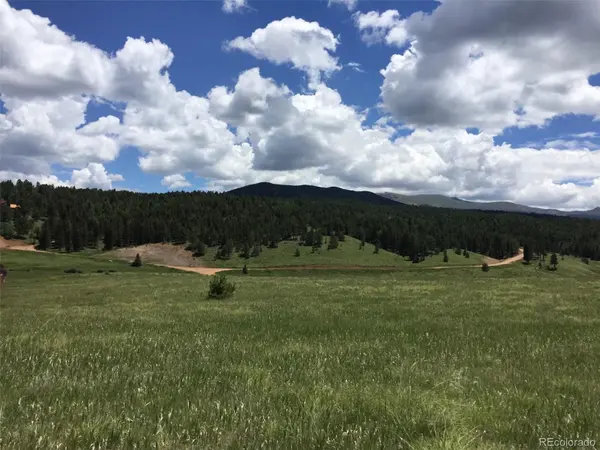 4600 Elk Valley RD, Divide, CO 80814