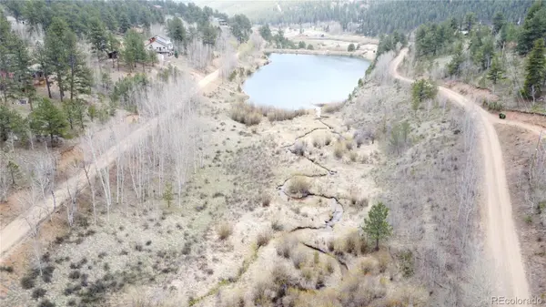 367 Neish ST, Bailey, CO 80421
