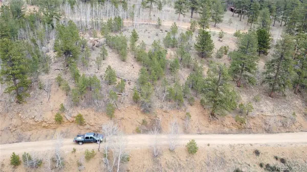 367 Neish ST, Bailey, CO 80421