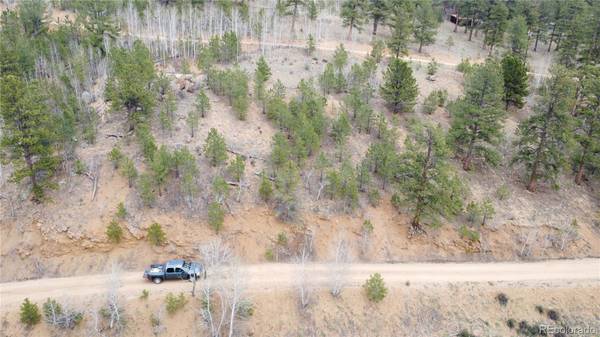 367 Neish ST, Bailey, CO 80421