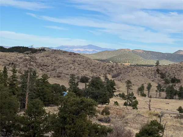 2926 E PATH, Cotopaxi, CO 81223