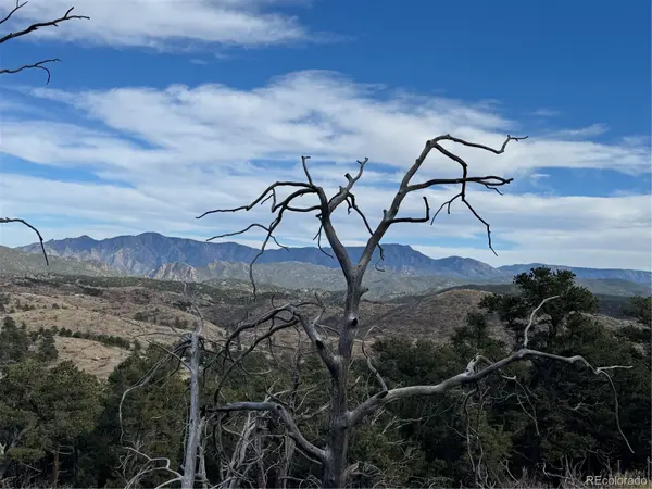 2926 E PATH, Cotopaxi, CO 81223