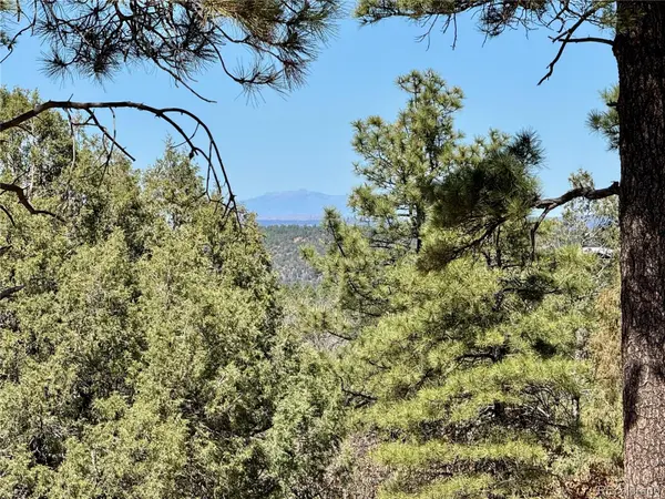 34999 Timber Park DR, Trinidad, CO 81082