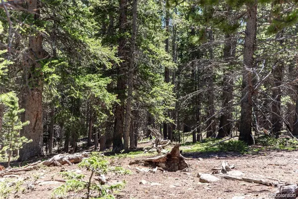 176 Gold Trail CIR, Fairplay, CO 80440