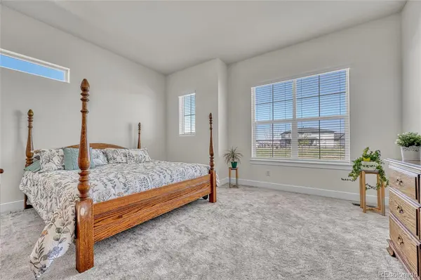 3656 Backslope LN, Castle Rock, CO 80108
