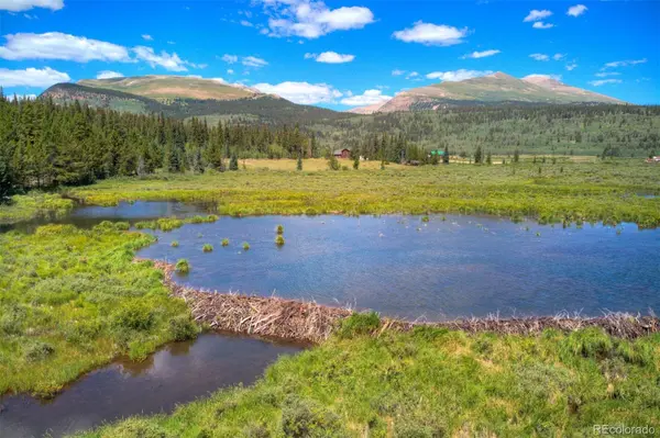 412 Kootchie Kootchie RD, Alma, CO 80420