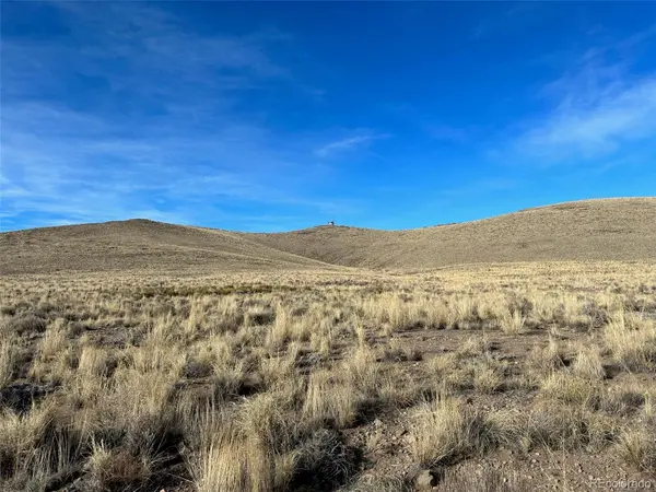 5450 Dove Creek, Blanca, CO 81123