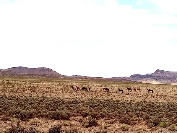 40 acres County Rd 27, San Acacio, CO 81151