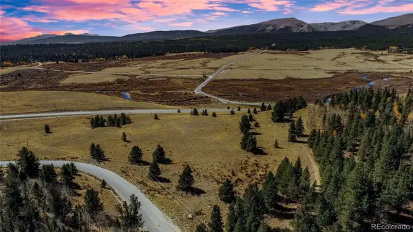 425 Platte River DR, Fairplay, CO 80440