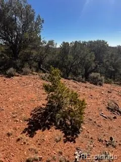 Lot 4360 Mahoney RD, San Luis, CO 81152