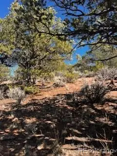 Lot 4360 Mahoney RD, San Luis, CO 81152