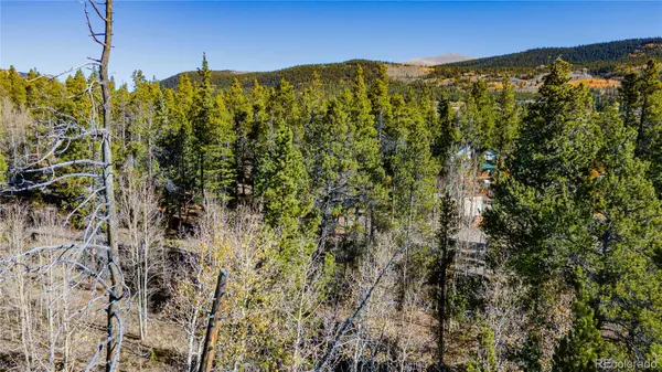 235 Willow LN, Fairplay, CO 80440