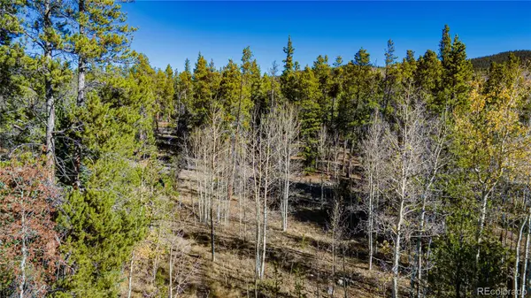 235 Willow LN, Fairplay, CO 80440