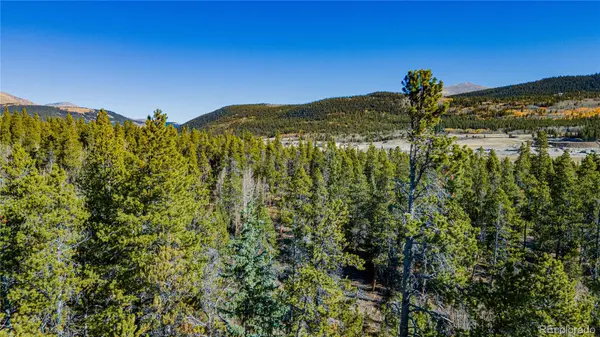 235 Willow LN, Fairplay, CO 80440