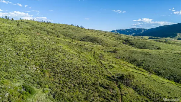 12711 Buckhorn RD, Loveland, CO 80538