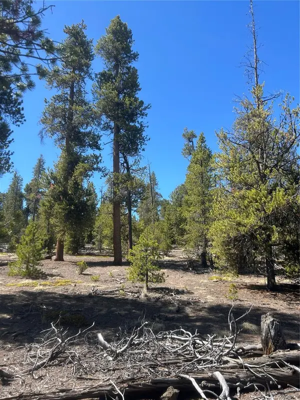 266 Ponderosa DR, Leadville, CO 80461