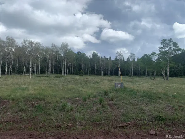 2941 FORBES PARK RD, Fort Garland, CO 81133