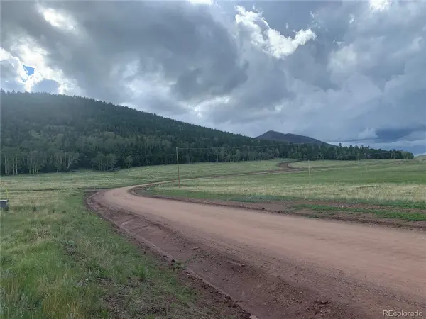 2941 FORBES PARK RD, Fort Garland, CO 81133
