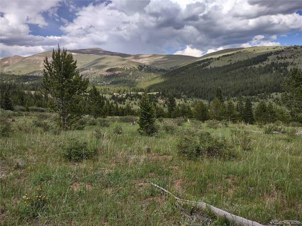 0 Snow Cap Peaks RD, Alma, CO 80402
