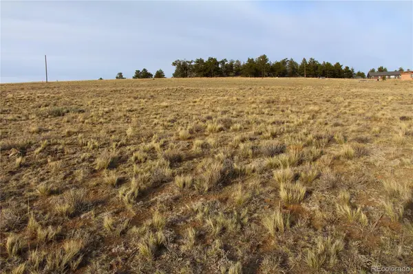 1071 Wagon Wheel RD, Hartsel, CO 80449