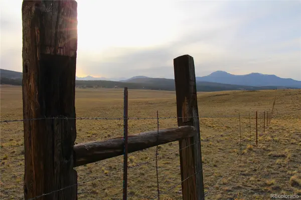 1071 Wagon Wheel RD, Hartsel, CO 80449