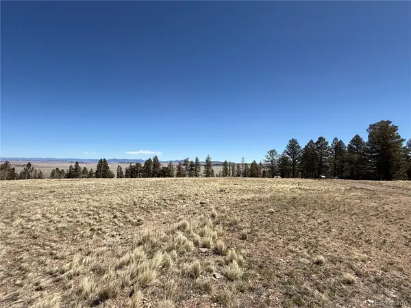 197 Baler CT, Hartsel, CO 80449
