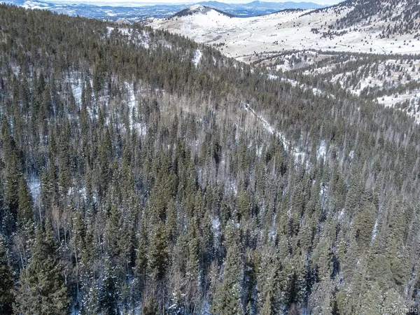 R0029767, Cripple Creek, CO 80813