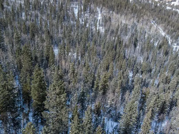 R0029767, Cripple Creek, CO 80813
