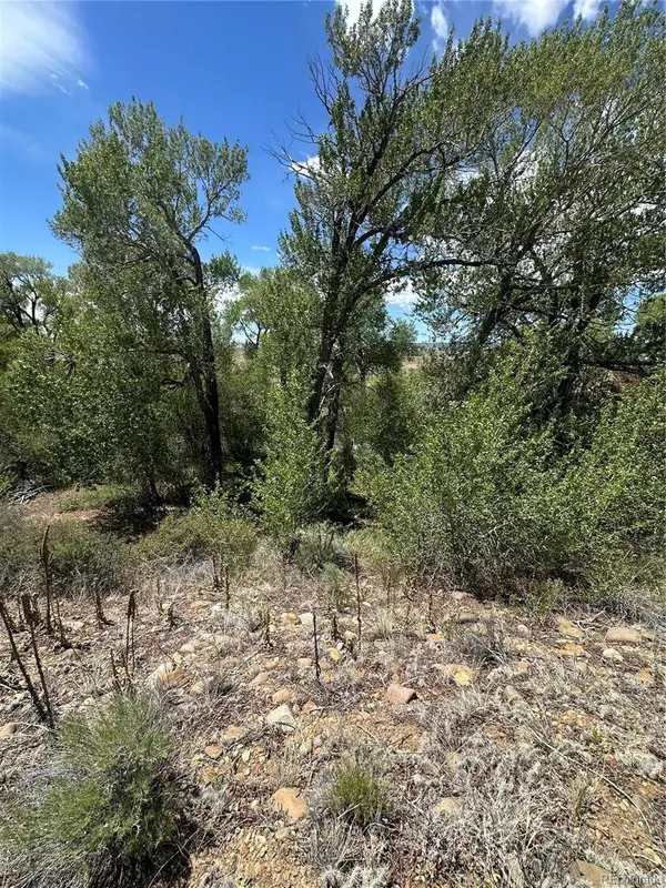 Lot 109 Alamosa River Estates, Capulin, CO 81124