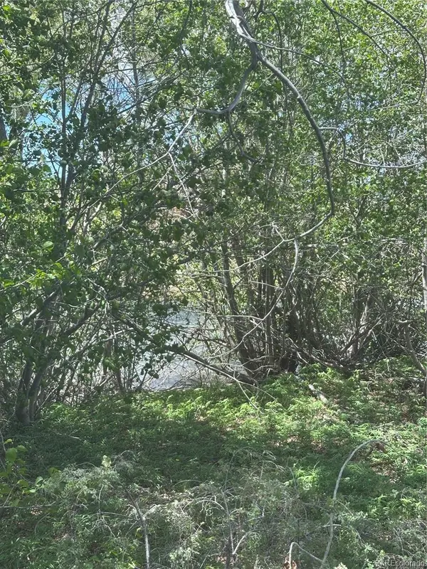 Lot 109 Alamosa River Estates, Capulin, CO 81124