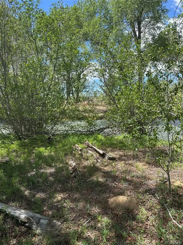 Lot 109 Alamosa River Estates, Capulin, CO 81124