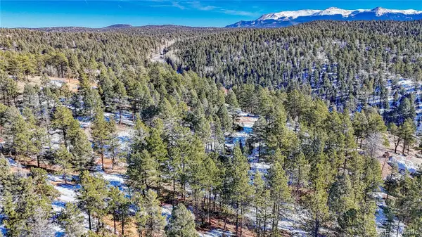 79 Huntsman CIR, Florissant, CO 80816