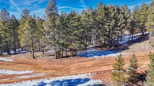 79 Huntsman CIR, Florissant, CO 80816
